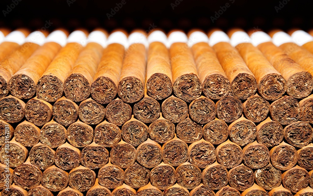 Cigars, cigar factory in Punta Cana, Dominican Republic, Caribbean, Central America